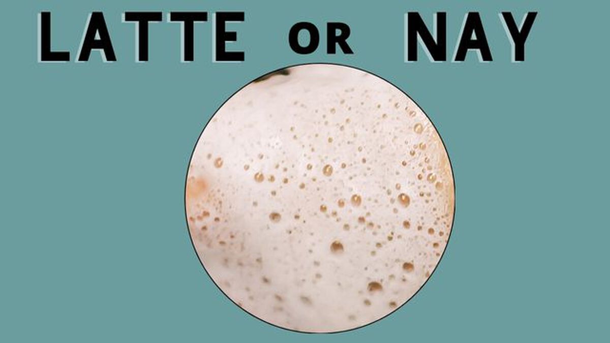 Latte Or Nay image number null